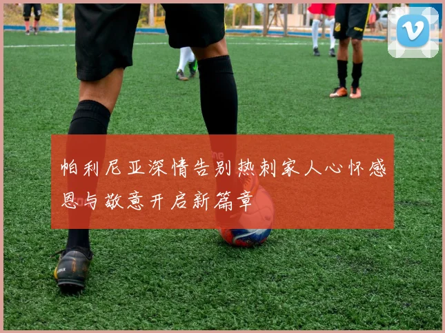 帕利尼亚深情告别热刺家人心怀感恩与敬意开启新篇章