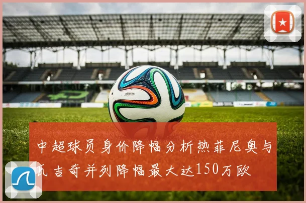 中超球员身价降幅分析热菲尼奥与瓦吉奇并列降幅最大达150万欧