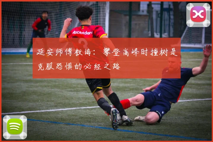 延安师傅教诲：攀登高峰时撞树是克服恐惧的必经之路